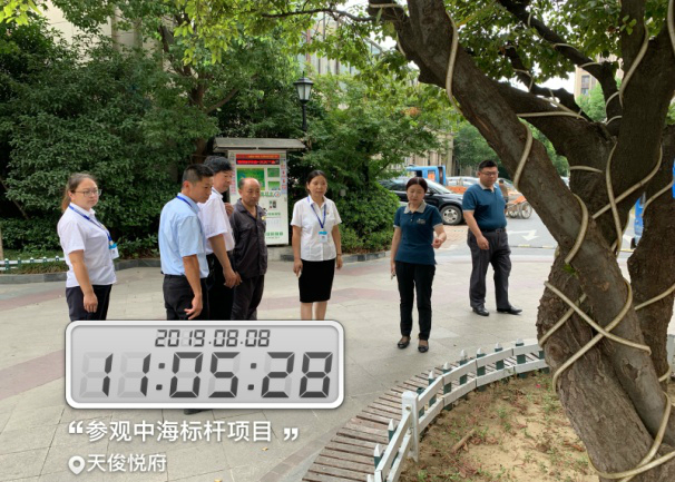 圖片8 圖片8